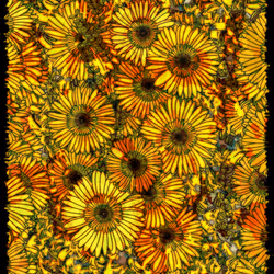 Flowers of Alfiren #20, The Dying Star