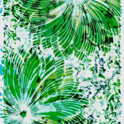Flowers of Alfiren #38