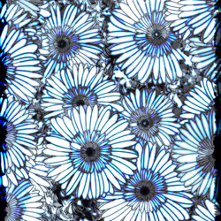 Flowers of Alfiren #25