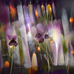 !flora #298