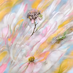 !flora #13