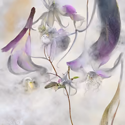 !flora #274
