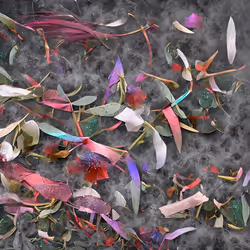 !flora #69