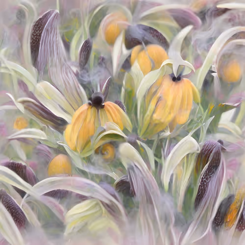 Floradenza