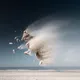Gravity - Sand Creatures I