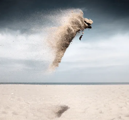 Gravity Sand Creatures I