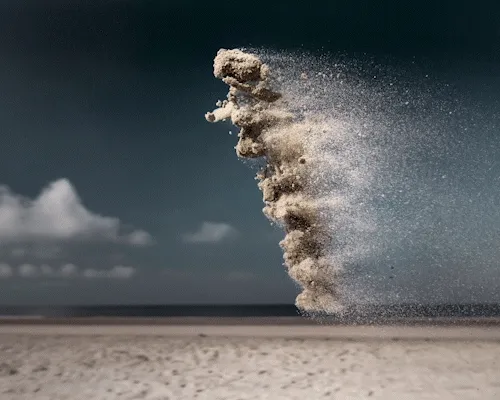 Gravity Sand Creatures I