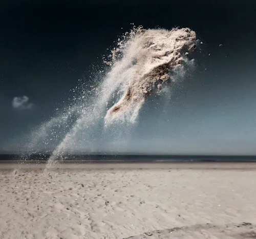 Gravity Sand Creatures I