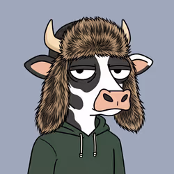 255