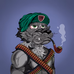 Funky Wolf #884