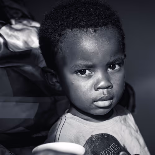 Immortal Africa Life