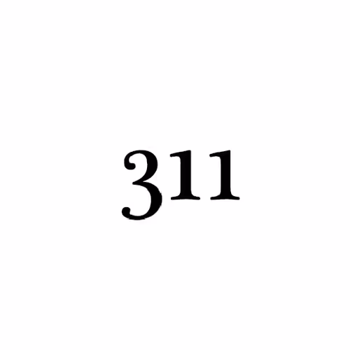 Item #921 Media