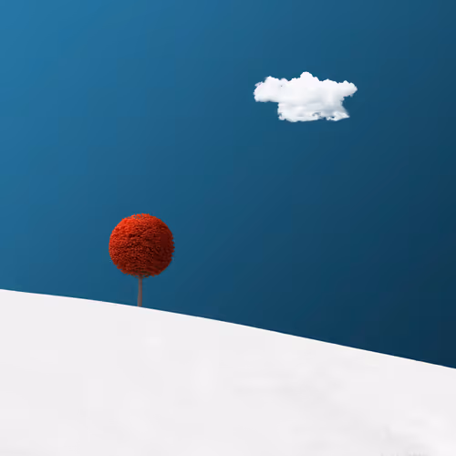 Magical Trees