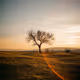 The poetry of light