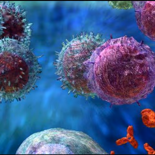 Fluorescentcells