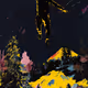 Kingdom of the Dreamer
