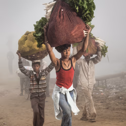 Men carrying vegetables; at the Yamuna River, Uttar Pradesh #4/8