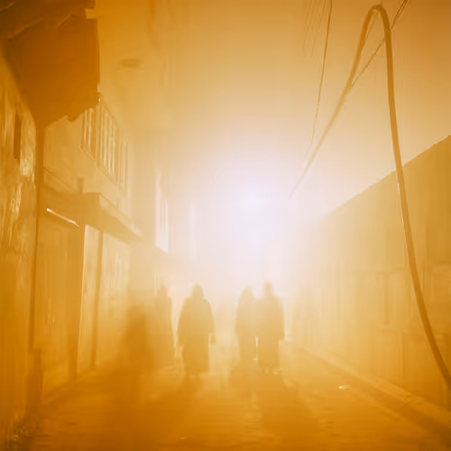 Morning Walk, Vrindavana