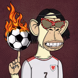 Football Ape Fan Club 1199