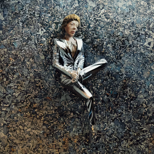 Post Photographic Perspectives Taming The Machine