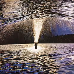 Pete Burkeet - Wormhole