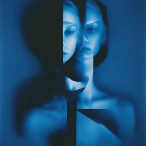 Post Photographic Perspectives Taming The Machine
