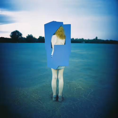 Post Photographic Perspectives Taming The Machine