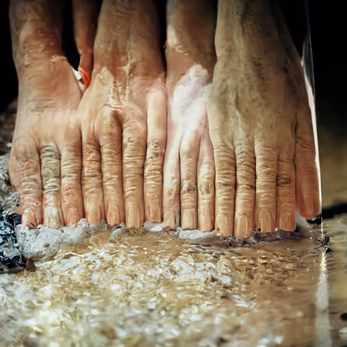 Post Photographic Perspectives Taming The Machine
