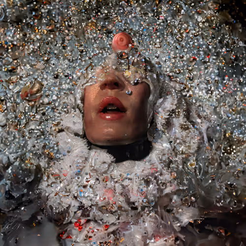 Post Photographic Perspectives Taming The Machine