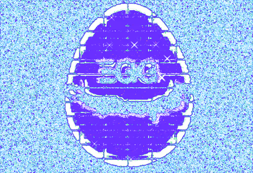 Egg
