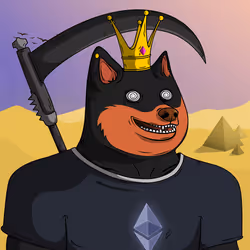 50
