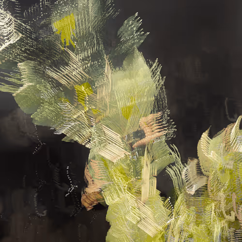 Into the Wild - 66rUprFpMw