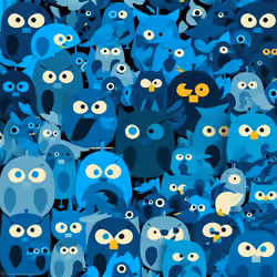 cutties #33