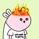 6632