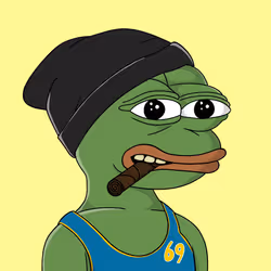 41