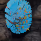 Ancestral Intelligence V2