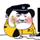 8529