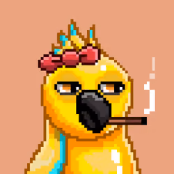 PP #17