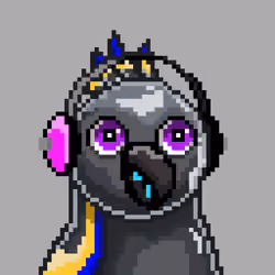 PP #494