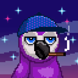 PP #524