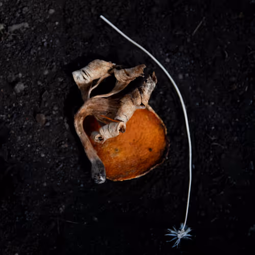 Tokens of appreciation V3