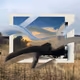 LandArchive