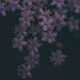 Floral Notes