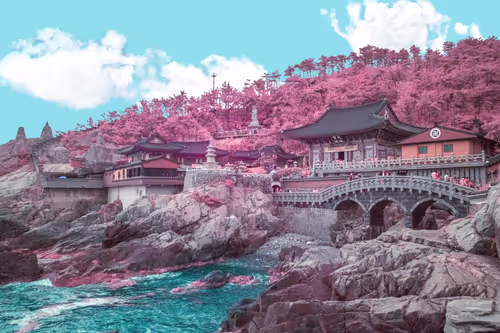 Item #7800020015 Media