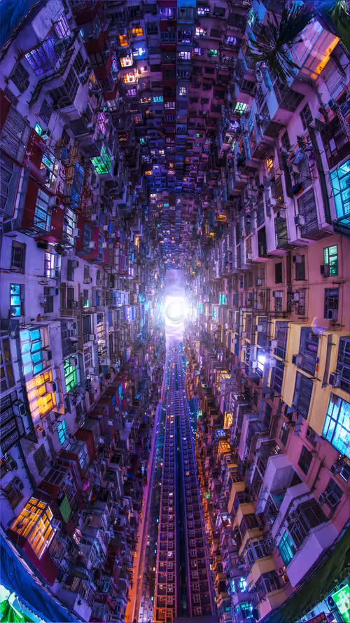 Item #7800030024 Media