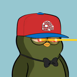 5038