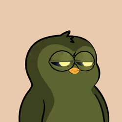 1798