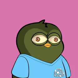 684