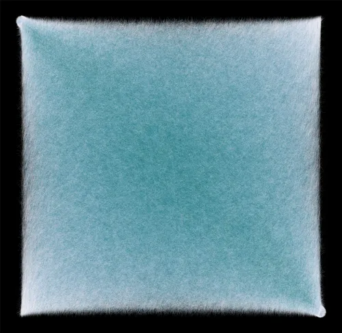 Item #240 Media
