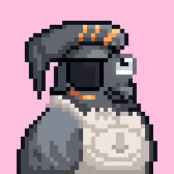 Noonbirds #943